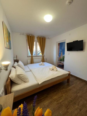 Villa Klara, Novi Sad